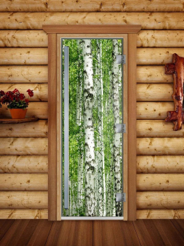 Дверь для сауны DoorWood Престиж А084 с фотопечатью, 70х190, коробка ольха