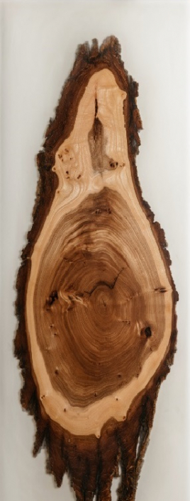 Дверь для сауны DoorWood с фотопечатью CЛЭБ-16, 70х190, коробка ольха